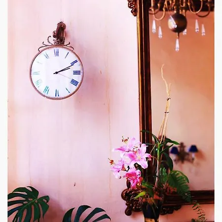 Guest house Casa La 2*